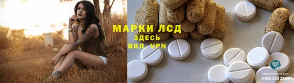 гашик Алексеевка