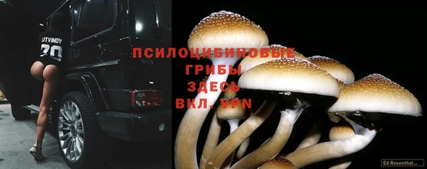 гашик Алексеевка