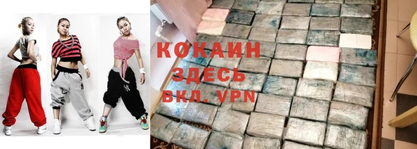 гашик Алексеевка