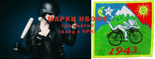гашик Алексеевка