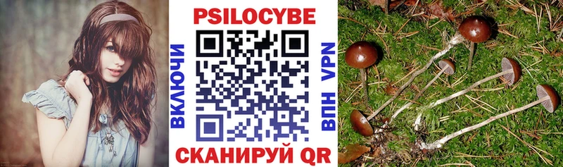 kraken как войти Курск Псилоцибиновые грибы Magic Shrooms