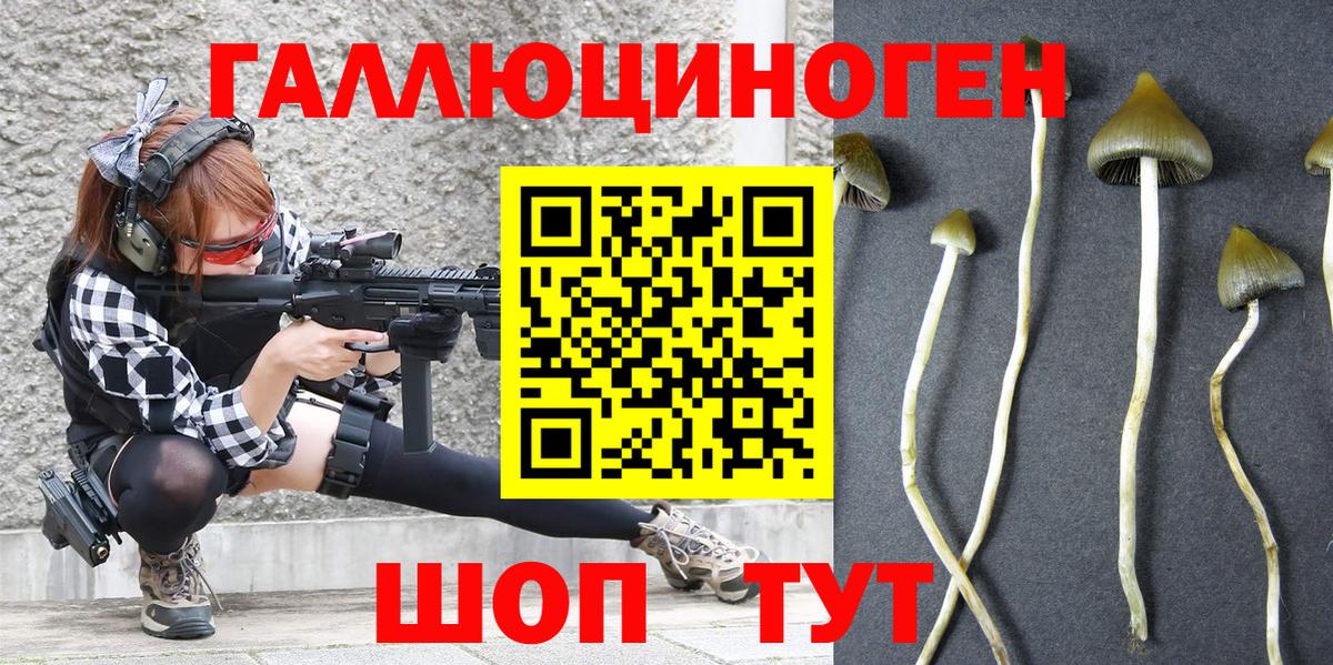 Курск  Псилоцибиновые грибы Psilocybine cubensis  купить наркотики цена  Вход с VPN 